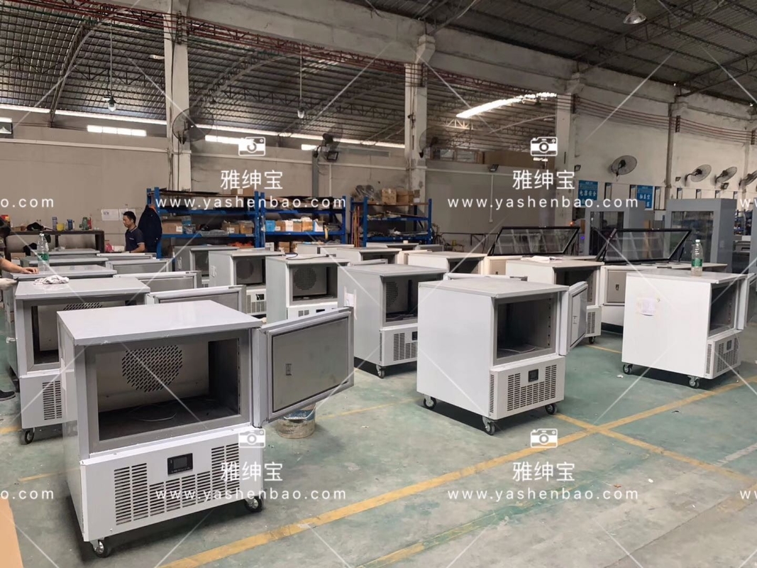 880W Removable Stainless Steel Upright Commercial Freezer Multiclimate